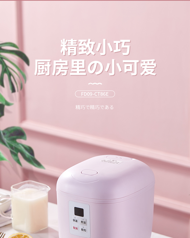 迷你飯煲_02.jpg